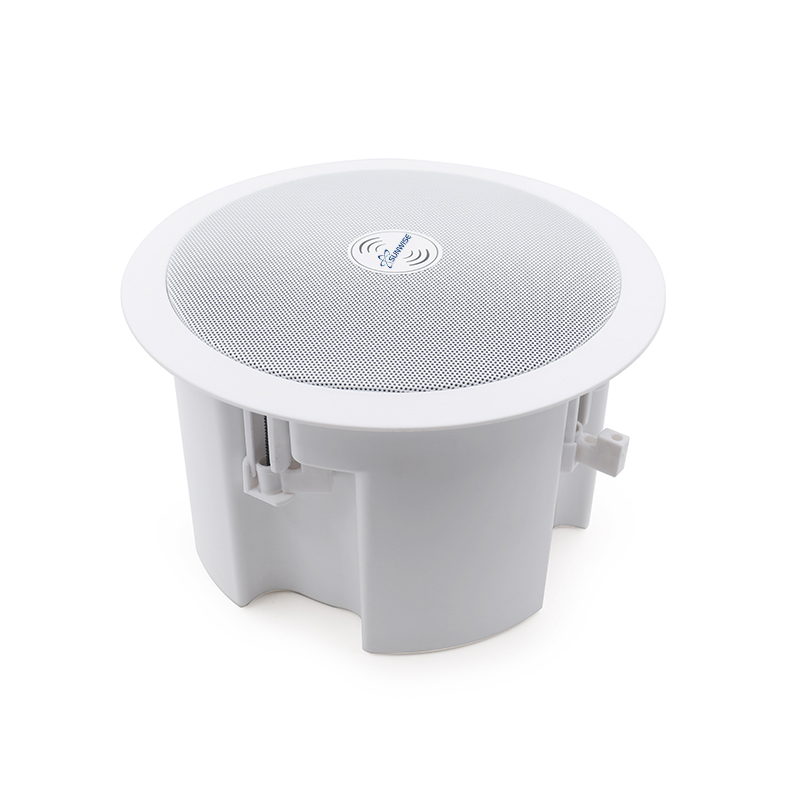 Ceiling Mounted Speaker