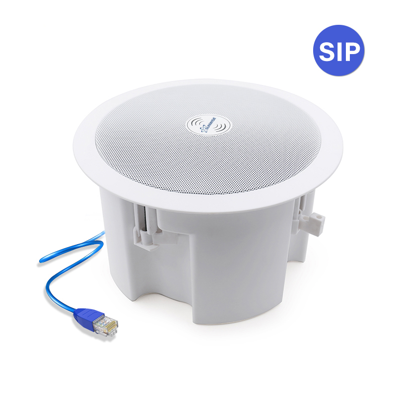 Ceiling Speaker